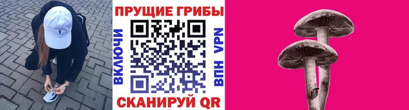 купить наркоту  Нерехта  мега ССЫЛКА  Псилоцибиновые грибы Magic Shrooms 